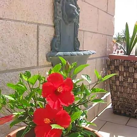 Garden Viareggio